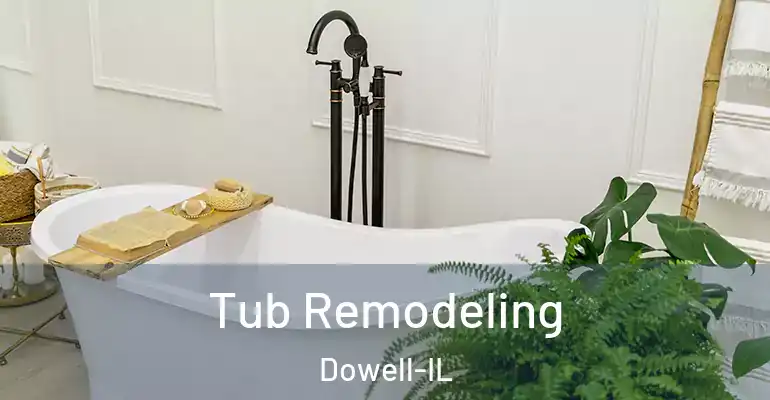 inner Bathroom imggen Tub Remodeling Dowell-IL