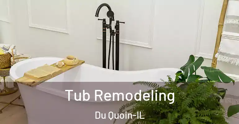 inner Bathroom imggen Tub Remodeling Du Quoin-IL