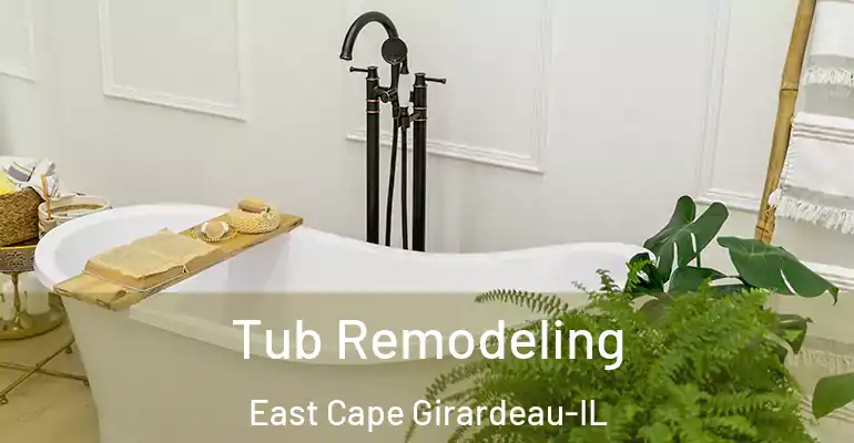 inner Bathroom imggen Tub Remodeling East Cape Girardeau-IL