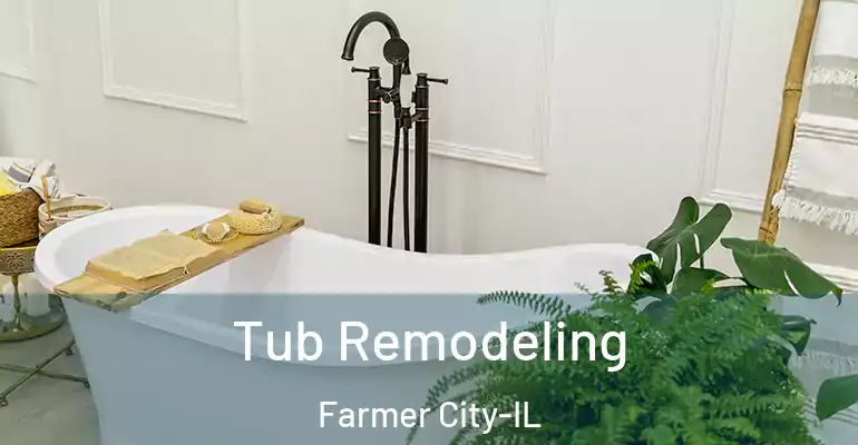 inner Bathroom imggen Tub Remodeling Farmer City-IL