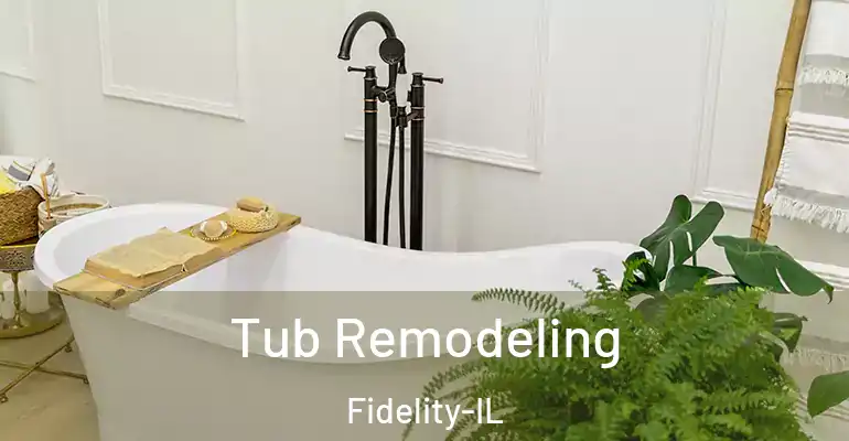 inner Bathroom imggen Tub Remodeling Fidelity-IL