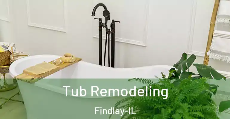 inner Bathroom imggen Tub Remodeling Findlay-IL