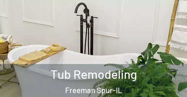 inner Bathroom imggen Tub Remodeling Freeman Spur-IL
