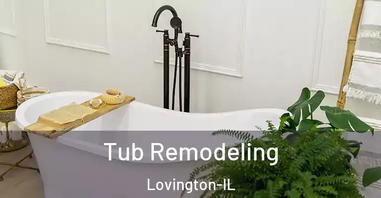 inner Bathroom imggen Tub Remodeling Lovington-IL