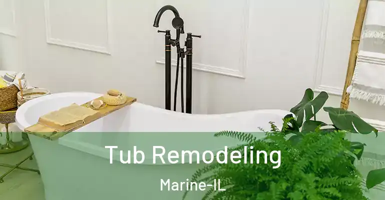 inner Bathroom imggen Tub Remodeling Marine-IL