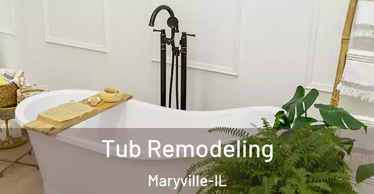 inner Bathroom imggen Tub Remodeling Maryville-IL