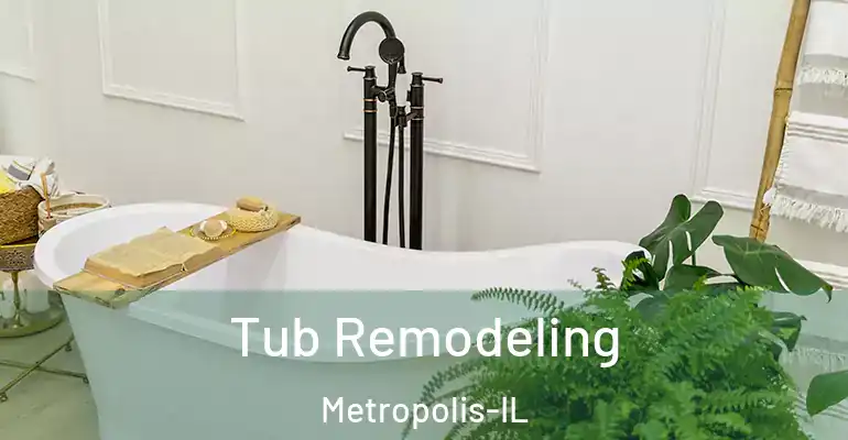 inner Bathroom imggen Tub Remodeling Metropolis-IL