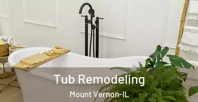 inner Bathroom imggen Tub Remodeling Mount Vernon-IL