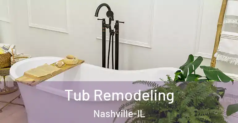 inner Bathroom imggen Tub Remodeling Nashville-IL