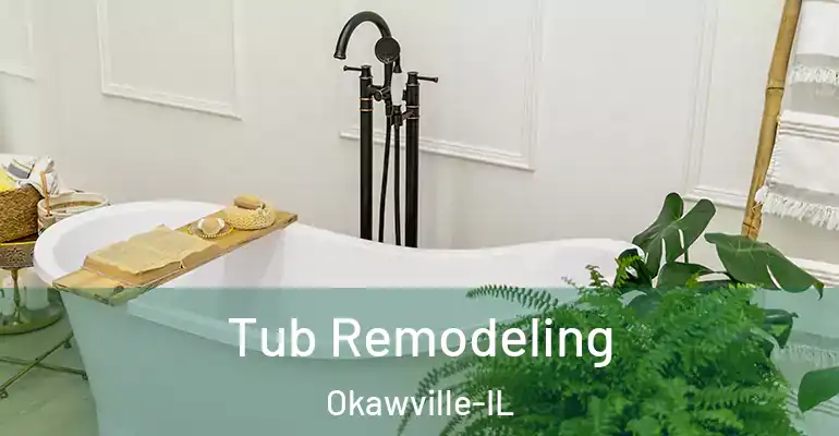 inner Bathroom imggen Tub Remodeling Okawville-IL
