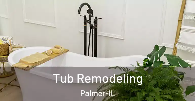 inner Bathroom imggen Tub Remodeling Palmer-IL