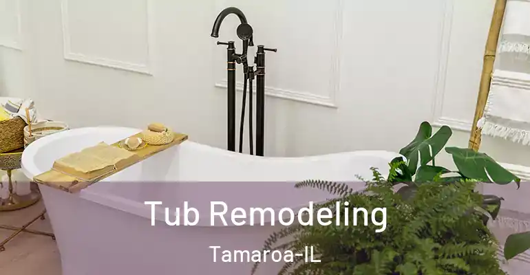 inner Bathroom imggen Tub Remodeling Tamaroa-IL