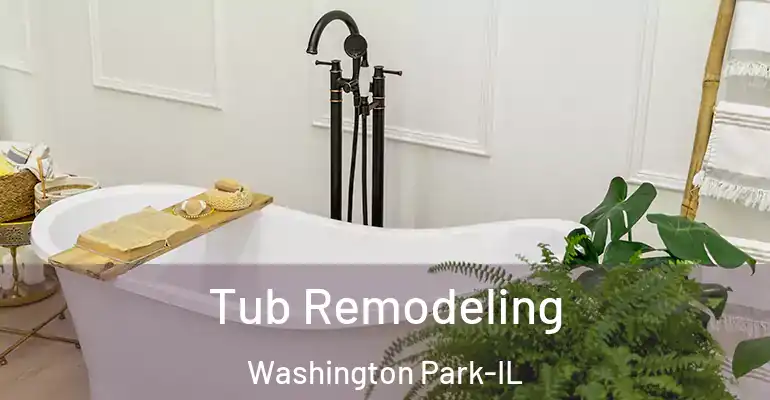 inner Bathroom imggen Tub Remodeling Washington Park-IL