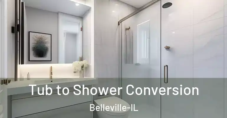 inner Bathroom imggen Tub to Shower Conversion Belleville-IL