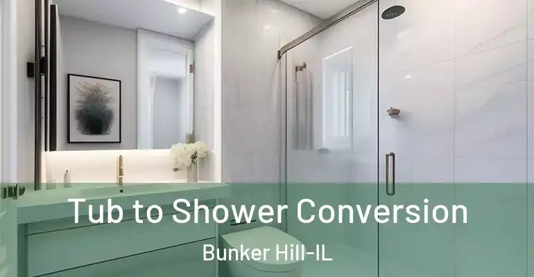 inner Bathroom imggen Tub to Shower Conversion Bunker Hill-IL
