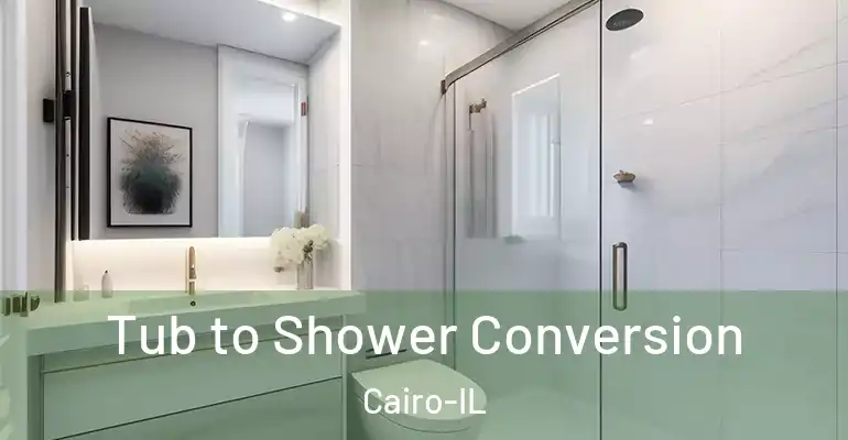 inner Bathroom imggen Tub to Shower Conversion Cairo-IL