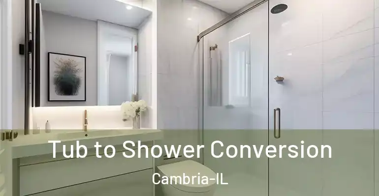 inner Bathroom imggen Tub to Shower Conversion Cambria-IL