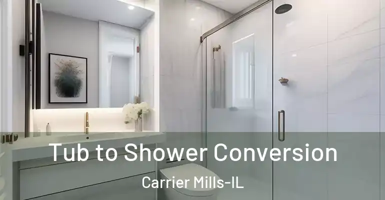 inner Bathroom imggen Tub to Shower Conversion Carrier Mills-IL
