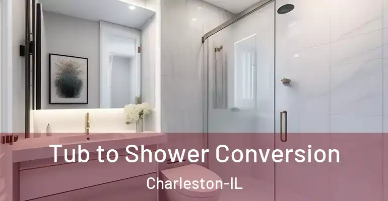 inner Bathroom imggen Tub to Shower Conversion Charleston-IL