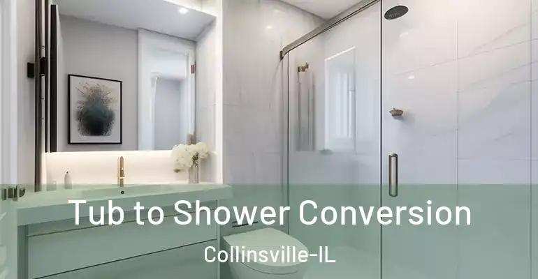 inner Bathroom imggen Tub to Shower Conversion Collinsville-IL