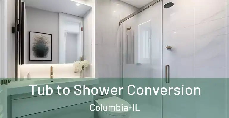 inner Bathroom imggen Tub to Shower Conversion Columbia-IL