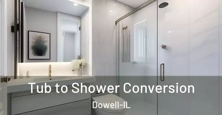 inner Bathroom imggen Tub to Shower Conversion Dowell-IL