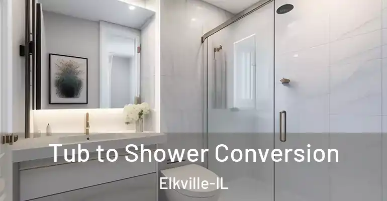inner Bathroom imggen Tub to Shower Conversion Elkville-IL