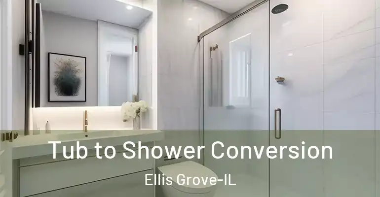 inner Bathroom imggen Tub to Shower Conversion Ellis Grove-IL