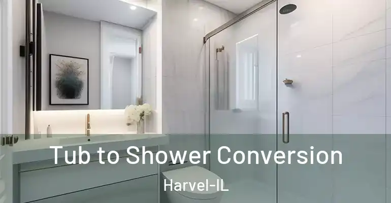 inner Bathroom imggen Tub to Shower Conversion Harvel-IL
