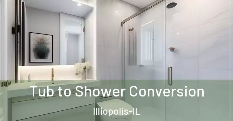 inner Bathroom imggen Tub to Shower Conversion Illiopolis-IL