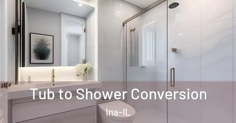 inner Bathroom imggen Tub to Shower Conversion Ina-IL