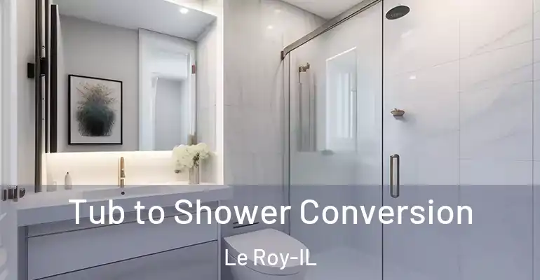 inner Bathroom imggen Tub to Shower Conversion Le Roy-IL