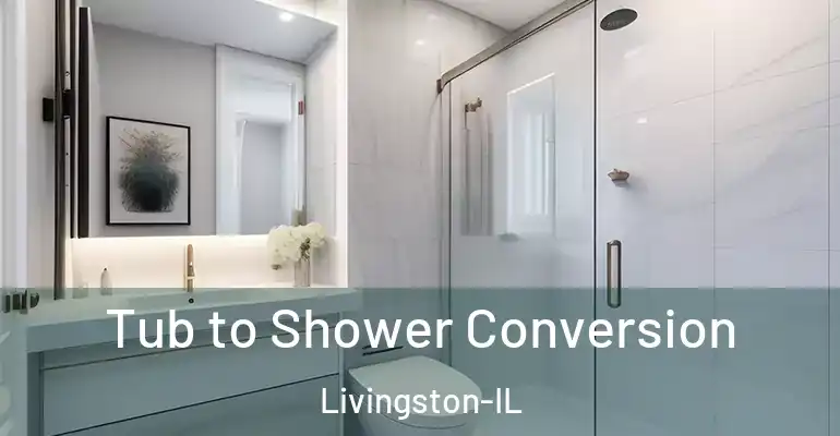 inner Bathroom imggen Tub to Shower Conversion Livingston-IL