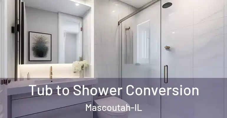 inner Bathroom imggen Tub to Shower Conversion Mascoutah-IL