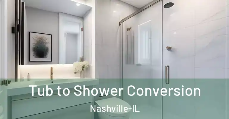 inner Bathroom imggen Tub to Shower Conversion Nashville-IL