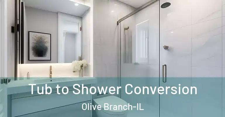 inner Bathroom imggen Tub to Shower Conversion Olive Branch-IL