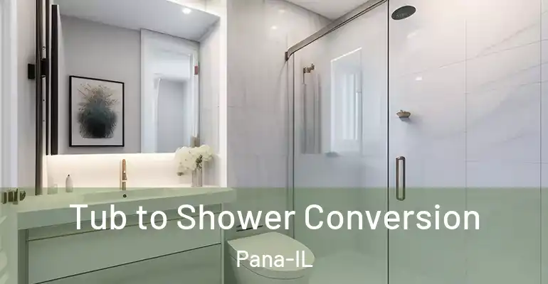 inner Bathroom imggen Tub to Shower Conversion Pana-IL