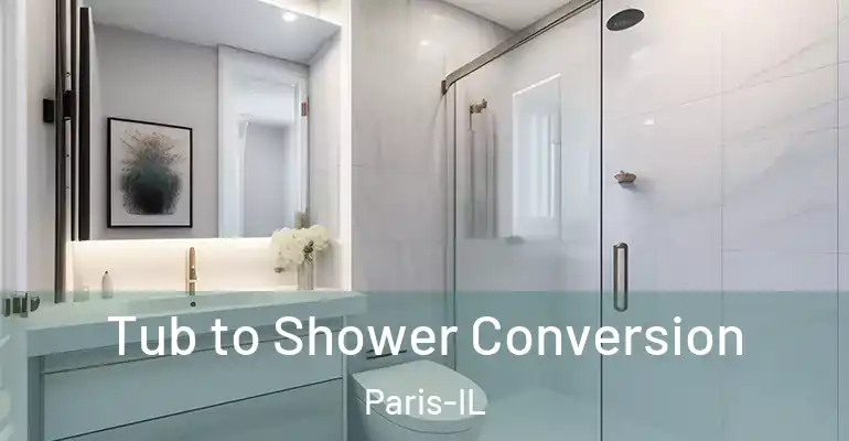 inner Bathroom imggen Tub to Shower Conversion Paris-IL