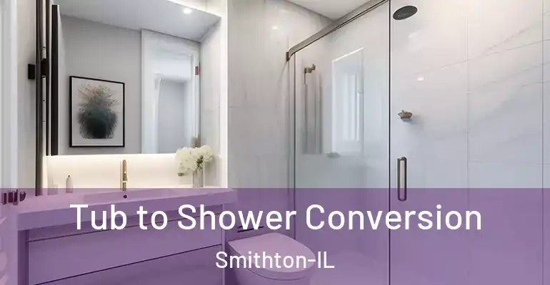 inner Bathroom imggen Tub to Shower Conversion Smithton-IL