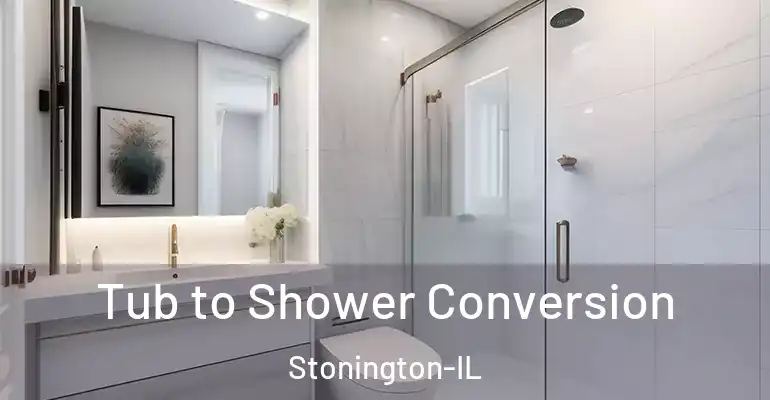 inner Bathroom imggen Tub to Shower Conversion Stonington-IL