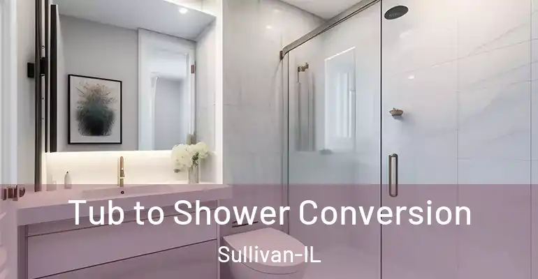 inner Bathroom imggen Tub to Shower Conversion Sullivan-IL