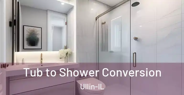 inner Bathroom imggen Tub to Shower Conversion Ullin-IL