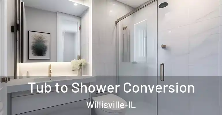 inner Bathroom imggen Tub to Shower Conversion Willisville-IL