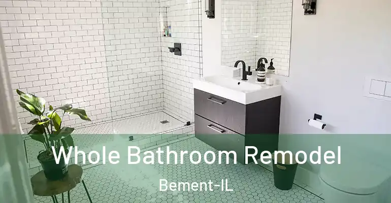 inner Bathroom imggen Whole Bathroom Remodel Bement-IL