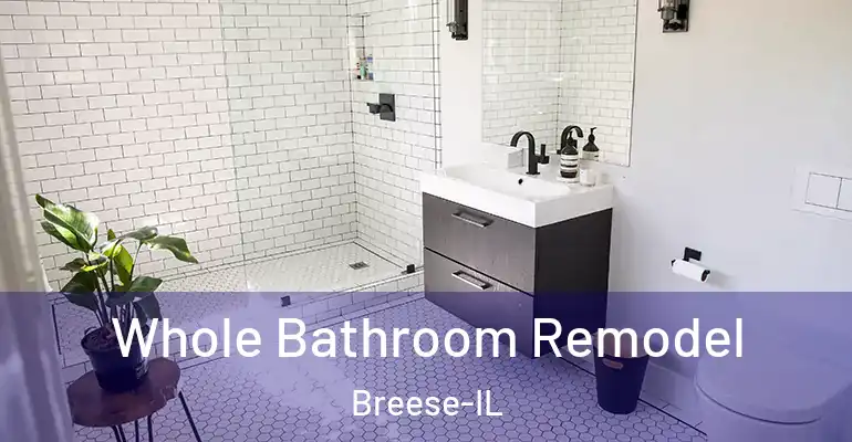 inner Bathroom imggen Whole Bathroom Remodel Breese-IL