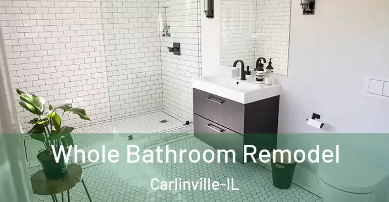 inner Bathroom imggen Whole Bathroom Remodel Carlinville-IL