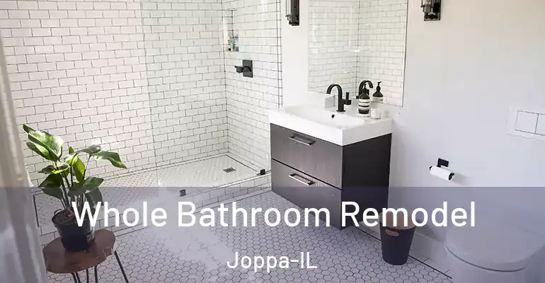inner Bathroom imggen Whole Bathroom Remodel Joppa-IL