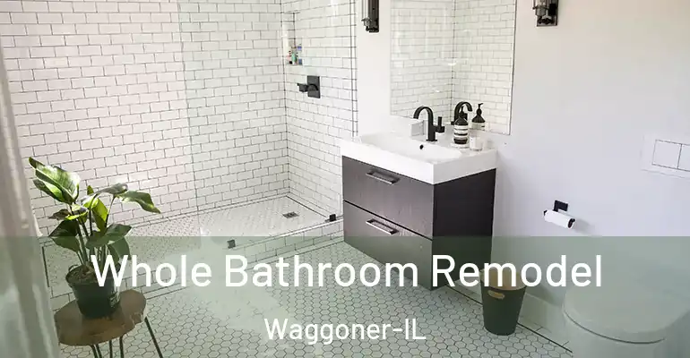 inner Bathroom imggen Whole Bathroom Remodel Waggoner-IL